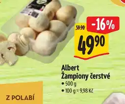 Albert Albert Žampiony čerstvé nabídka