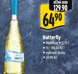 Albert Butterfly nabídka