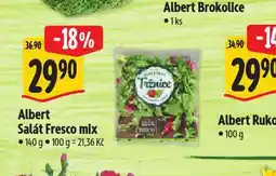 Albert Salát fresco mix nabídka