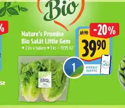 Albert Bio salát little gem nabídka