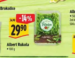 Albert Rukola nabídka
