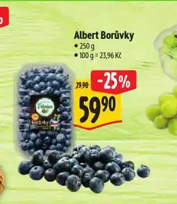 Albert Borůvky nabídka