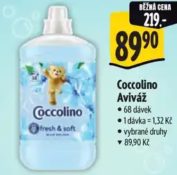 Albert Coccolino Aviváž nabídka