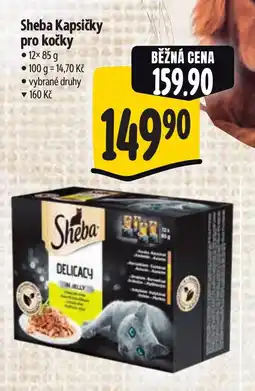 Albert Sheba Kapsičky pro kočky nabídka