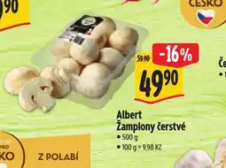 Albert Žampiony čerstvé nabídka