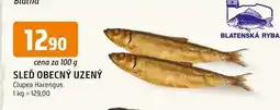 Trefa SLEĎ OBECNÝ UZENÝ 100g nabídka