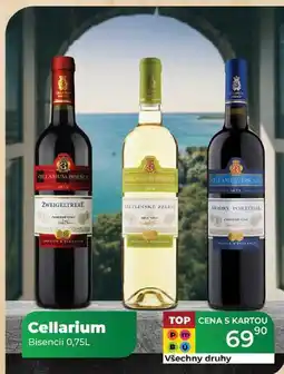 Tamda Foods Cellarium Bisencii 0,75L nabídka
