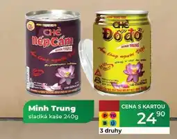 Tamda Foods Minh Trung sladká kaše 240g nabídka