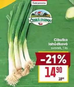 Billa Cibulka lahůdková nabídka
