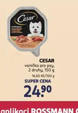 Rossmann Cesar vanička pro psy nabídka
