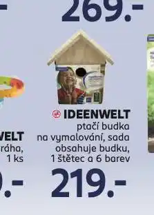 Rossmann Ptačí budka na vymalování nabídka