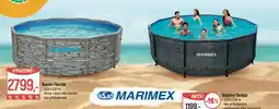 Globus Bazén florida nabídka