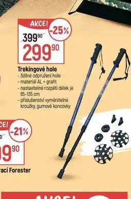 Globus Trekingové hole nabídka