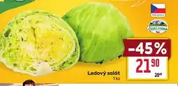 Billa Ledový salát nabídka