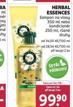 Rossmann Herbal essences šampon, kondicioner nabídka