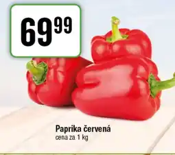 TEMPO Paprika červená nabídka