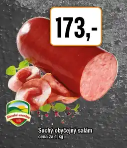 TEMPO Suchý obyčejný salám nabídka