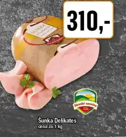 TEMPO Šunka Delikates nabídka