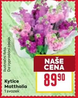 Billa Kytice Mattholia nabídka