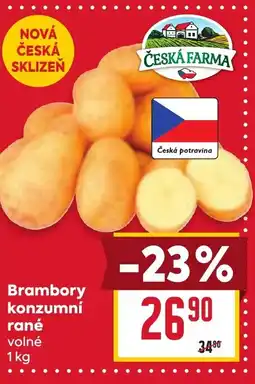 Billa Brambory konzumní rané nabídka