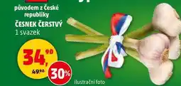Penny Market ČESNEK ČERSTVÝ, 1 svazek nabídka