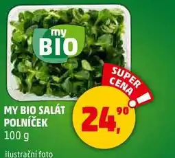 Penny Market MY BIO SALÁT POLNÍČEK, 100 g nabídka