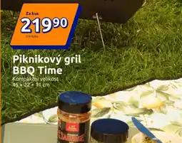 Action Piknikový gril bbq time nabídka