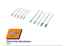 Action Pilové listy werckmann nabídka