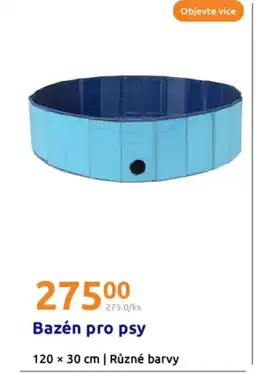 Action Bazén pro psy nabídka