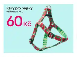 Pepco Kšíry pro pejsky nabídka