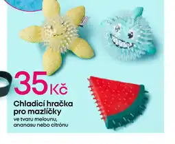 Pepco Chladicí hračka pro mazlíčky nabídka