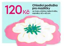 Pepco Chladicí podložka pro mazlíčky nabídka