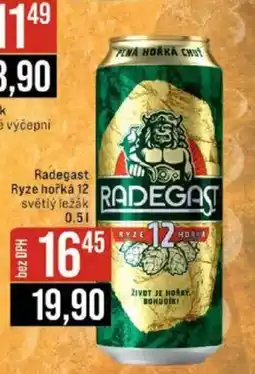 Jip Radegast ryze hořká 12 nabídka