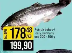 Jip Pstruh duhový nabídka