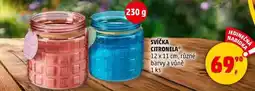 Penny Market SVÍČKA CITRONELA 12 x 11 cm, různé barvy a vůně, 1 ks nabídka
