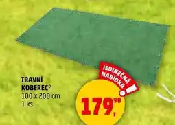 Penny Market TRAVNÍ KOBEREC 100 x 200 cm, 1 ks nabídka