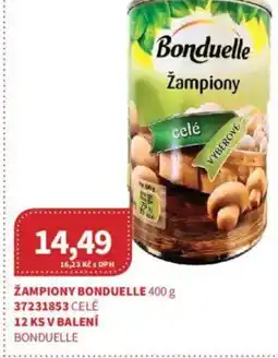Kubík potraviny Žampiony bonduelle nabídka