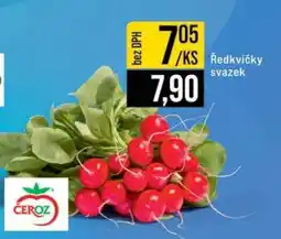 Jip Ředkvičky svazek nabídka