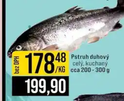Jip Pstruh duhový nabídka
