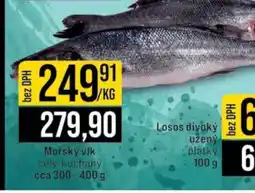 Jip Mořský vlk nabídka