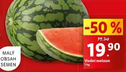 Lidl Vodni meloun nabídka