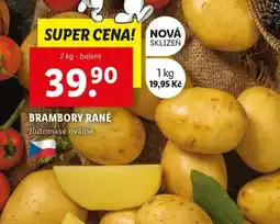 Lidl Brambory rané nabídka