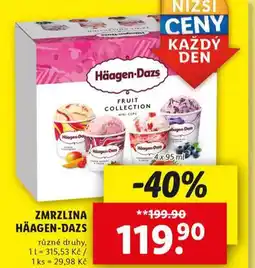 Lidl Zmrzlina häagen dazs nabídka