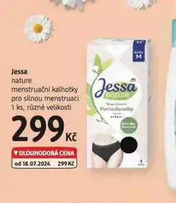 dm drogerie Jessa menstruační kalhotky nabídka