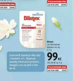 dm drogerie Blistex balzám na rty nabídka