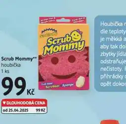 dm drogerie Scrub mommy houbička nabídka