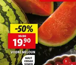Lidl Vodní meloun nabídka