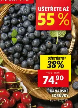 Lidl Kanadské borůvky nabídka