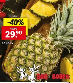 Lidl Ananas nabídka