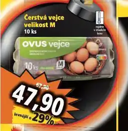 Norma Čerstvá vejce m 10 ks nabídka